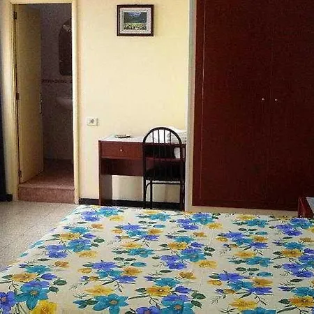 Le Petit Palue Palmas 2*